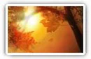 Autumn desktop wallpapers 4K Ultra HD